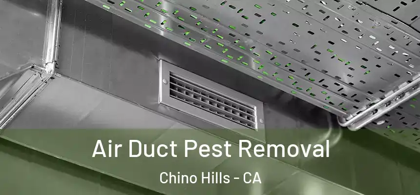  Air Duct Pest Removal Chino Hills - CA