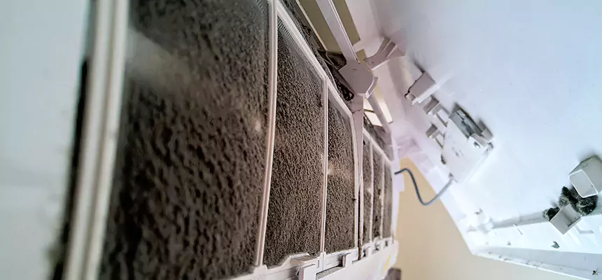 Preventive Air Duct Bacteria Removal in Chino Hills