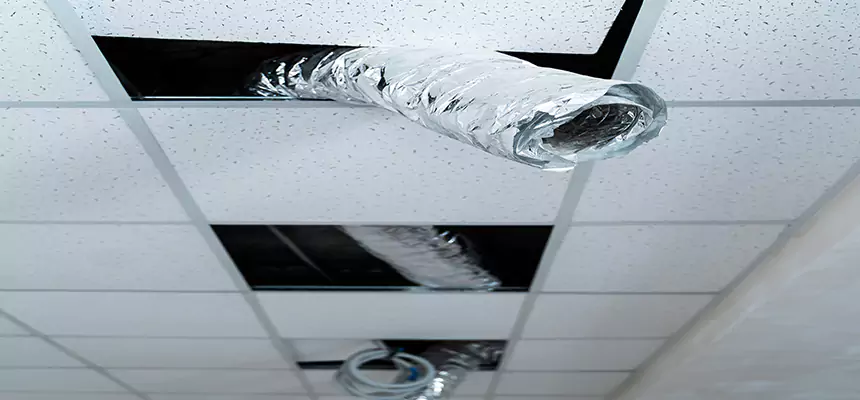 Affordable HVAC Sanitizing After Pest Removal in Chino Hills