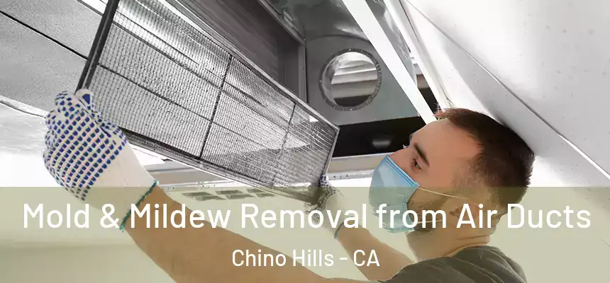 Mold & Mildew Removal from Air Ducts Chino Hills - CA
