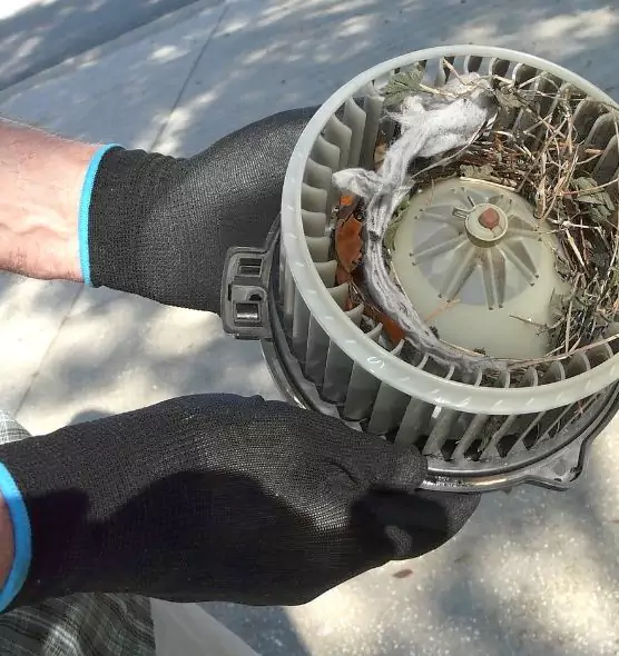 About Air Duct Mice Removal in Chino Hills, CA