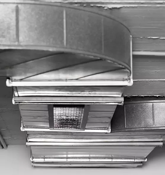 Professional Air Duct Pest Removal in Chino Hills, CA