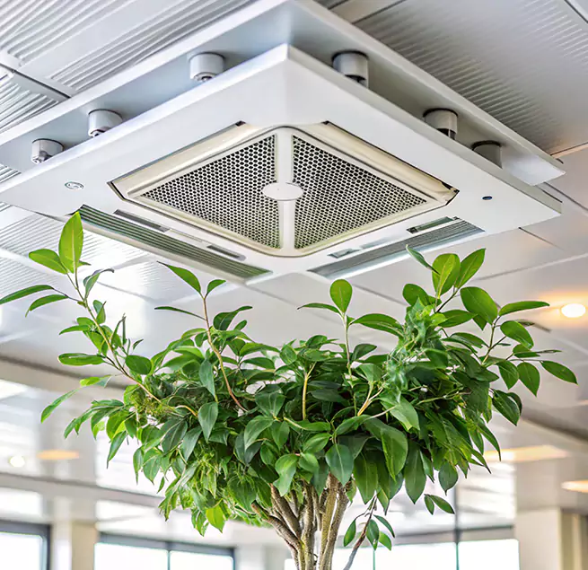 Why Homeowners & Businesses Trust Us in Chino Hills, CA?